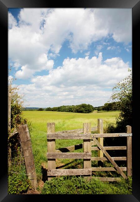 Towards the South Downs Framed Print by Neil Overy