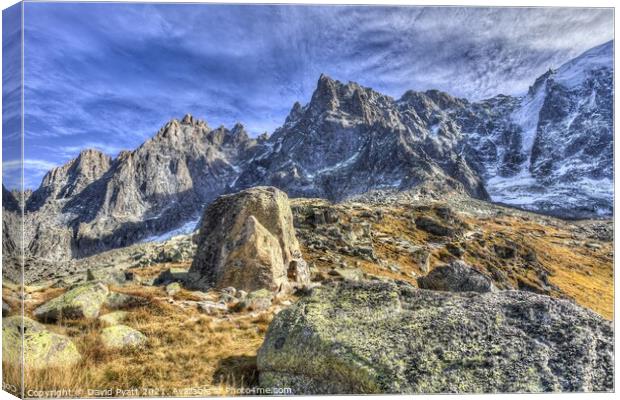 French Alps Chamonix  Canvas Print by David Pyatt