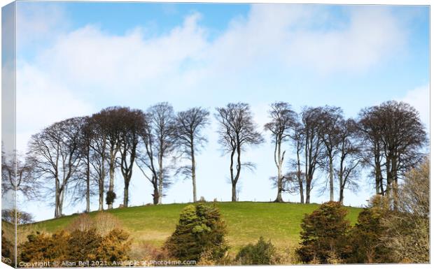 Trees on hill Canvas Print by Allan Bell