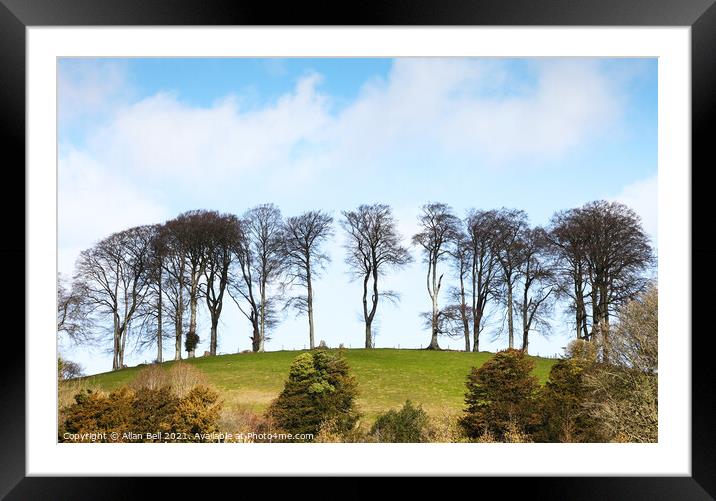 Trees on hill Framed Mounted Print by Allan Bell