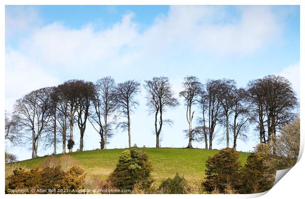 Trees on hill Print by Allan Bell