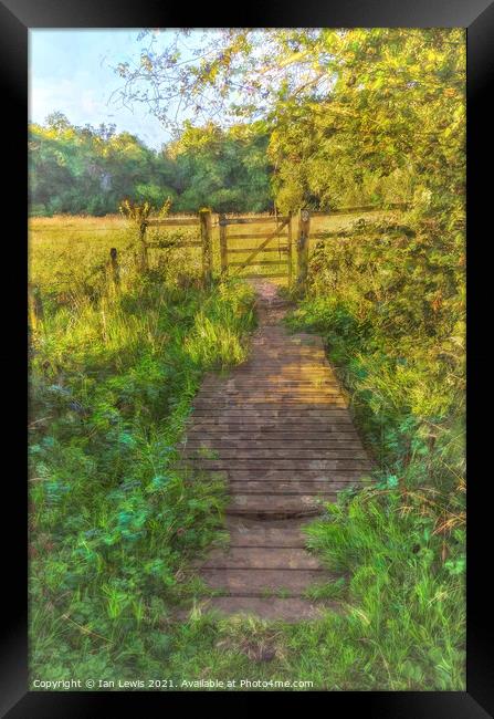 Meadow Gate Framed Print by Ian Lewis