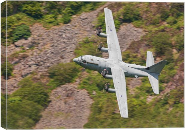 C-130 Hercules Canvas Print by Rory Trappe