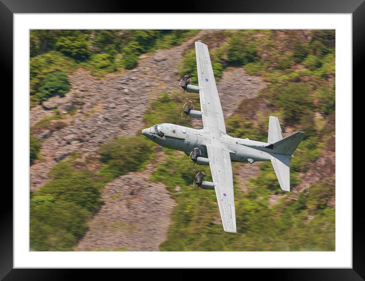 C-130 Hercules Framed Mounted Print by Rory Trappe