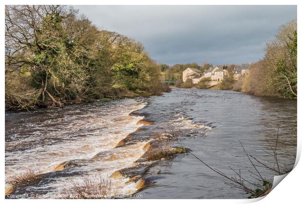 The River Tees at Demesnes Mill, Barnard Castle, T Print by Richard Laidler