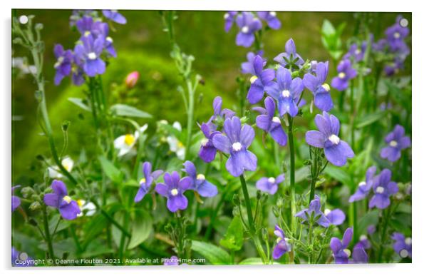 Delicate Lavender Flower Garden Acrylic by Deanne Flouton