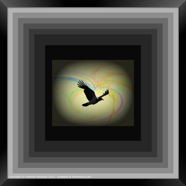 Raven's Wing Framed Print by Heather Goodwin