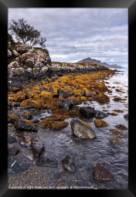 Rocky beach seaweed, Camas a Mhor-bheoil beach, Skye Framed Print by Photimageon UK