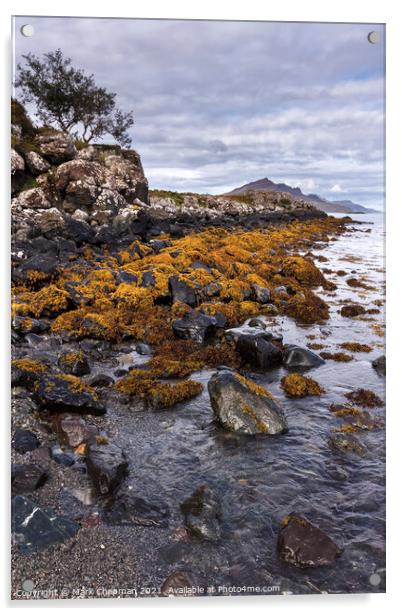 Rocky beach seaweed, Camas a Mhor-bheoil beach, Skye Acrylic by Photimageon UK