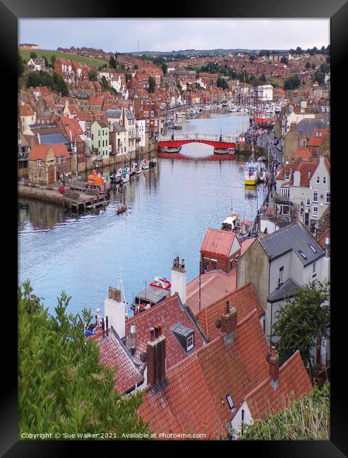 Abstract of Whitby, North Yorkshire  Framed Print by Sue Walker