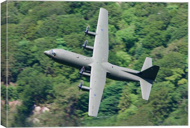 RAF Hercules C-130 Canvas Print by Rory Trappe