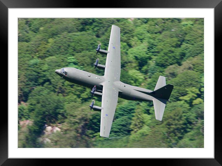 RAF Hercules C-130 Framed Mounted Print by Rory Trappe