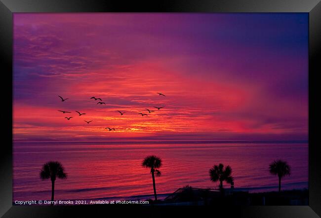 Palms in Silhouette Against Purple Sunrise Framed Print by Darryl Brooks
