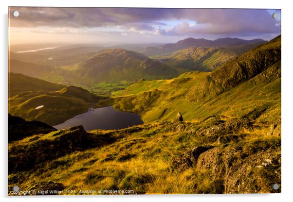 Stickle Tarn Acrylic by Nigel Wilkins