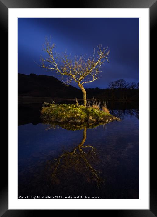 Lonely Tree Framed Mounted Print by Nigel Wilkins