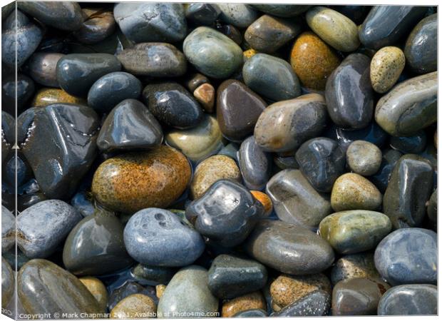 Wet colourful beach pebbles Canvas Print by Photimageon UK