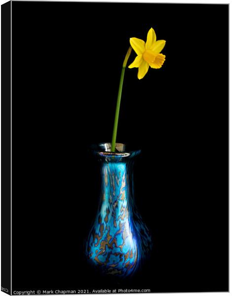 Single yellow daffodil in vase Canvas Print by Photimageon UK