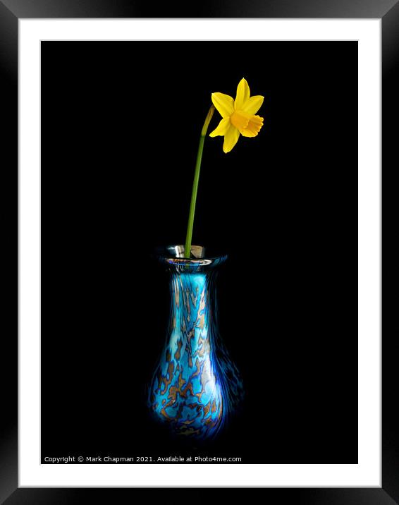Single yellow daffodil in vase Framed Mounted Print by Photimageon UK