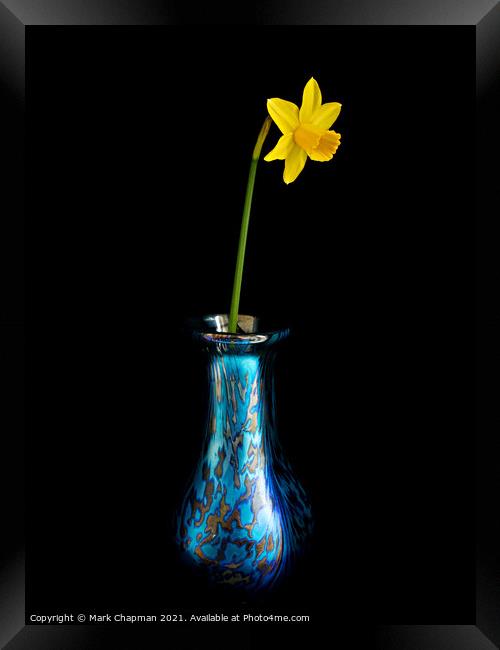 Single yellow daffodil in vase Framed Print by Photimageon UK