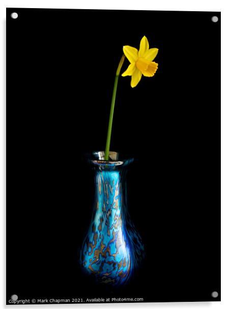 Single yellow daffodil in vase Acrylic by Photimageon UK