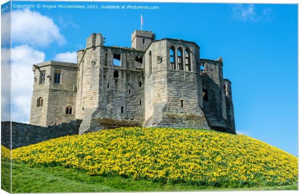 Warkworth Castle daffodils Canvas Print by Angus McComiskey
