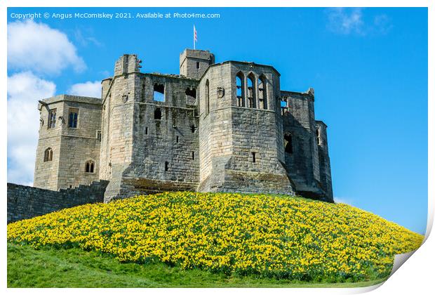 Warkworth Castle daffodils Print by Angus McComiskey