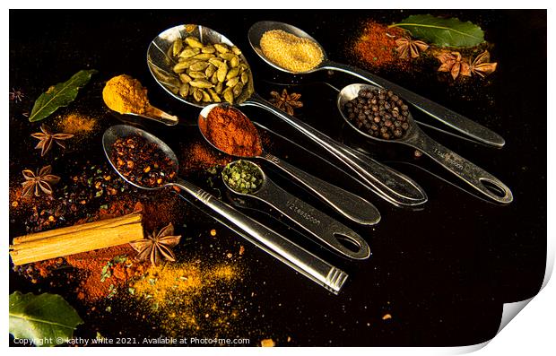 curry spices with spoons Print by kathy white