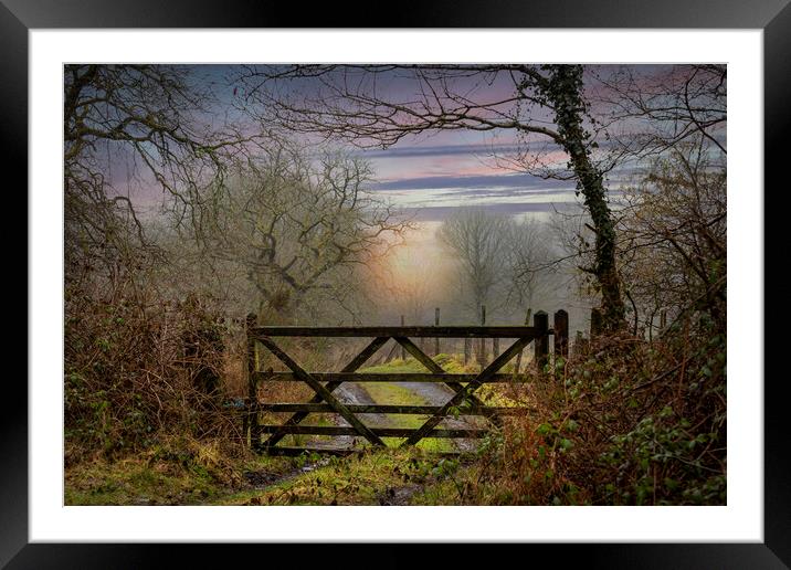A wooden farm gate Framed Mounted Print by Leighton Collins