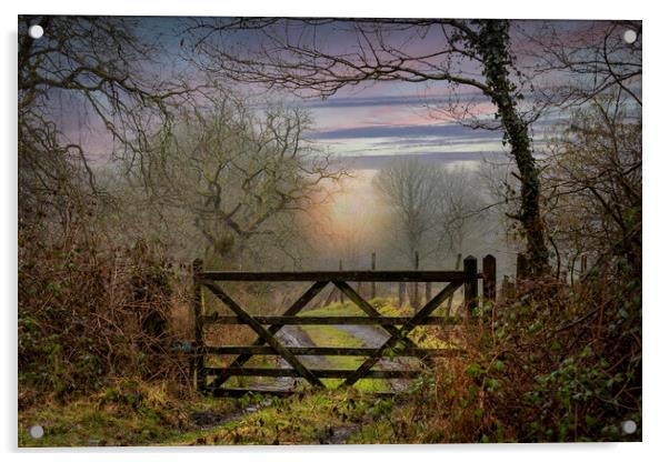 A wooden farm gate Acrylic by Leighton Collins