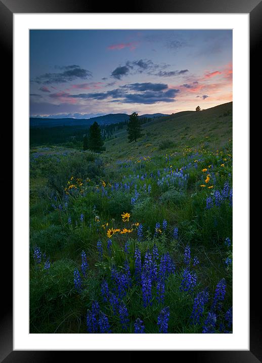 Sunset Meadow Trail Framed Mounted Print by Mike Dawson