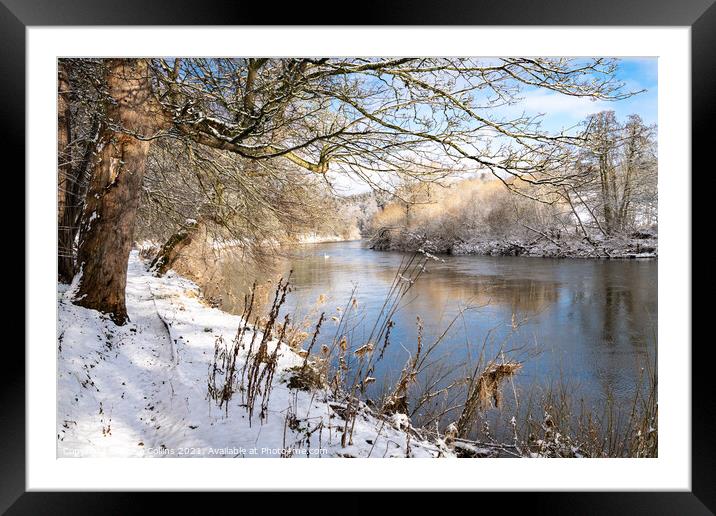 Teviot River and winter snow in the Scottish Borders Framed Mounted Print by Dave Collins