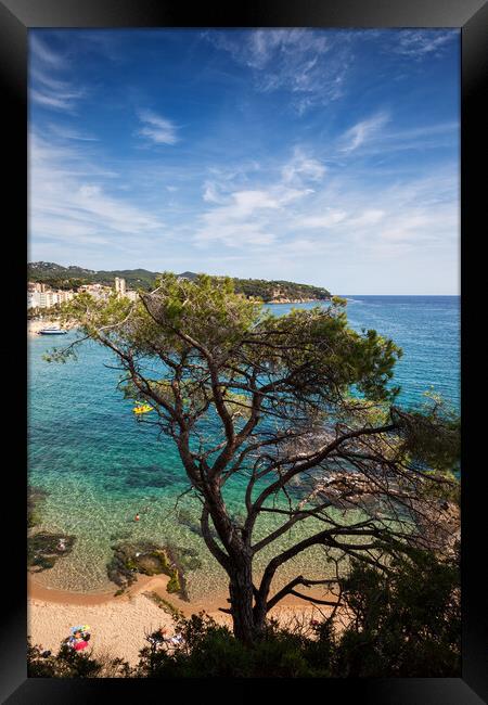 Single Tree Against The Sea At Costa Brava In Spain Framed Print by Artur Bogacki