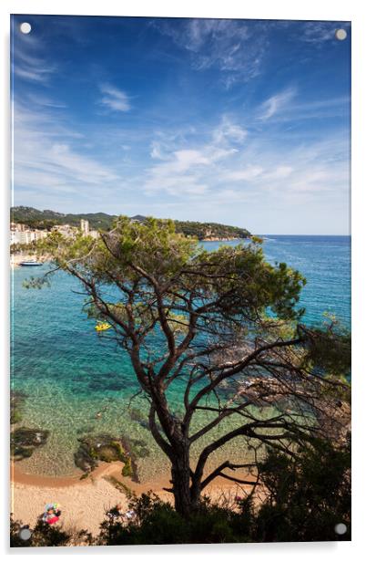 Single Tree Against The Sea At Costa Brava In Spain Acrylic by Artur Bogacki