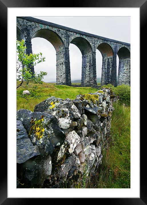 Ribblehead Viaduct and dry stone wall Framed Mounted Print by Stephen Mole