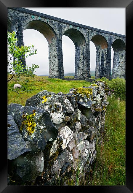 Ribblehead Viaduct and dry stone wall Framed Print by Stephen Mole