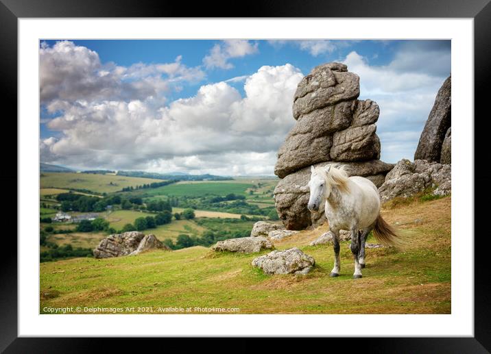 Dartmoor landscape with a white pony, Devon Framed Mounted Print by Delphimages Art
