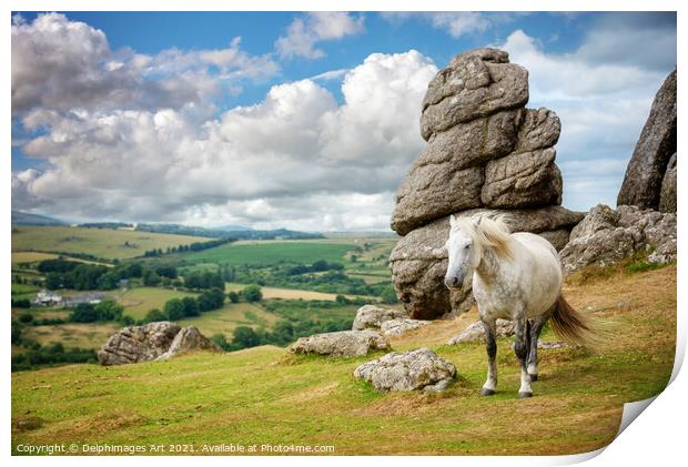 Dartmoor landscape with a white pony, Devon Print by Delphimages Art