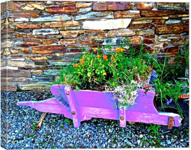 Flowers in a wheelbarrow Canvas Print by Stephanie Moore