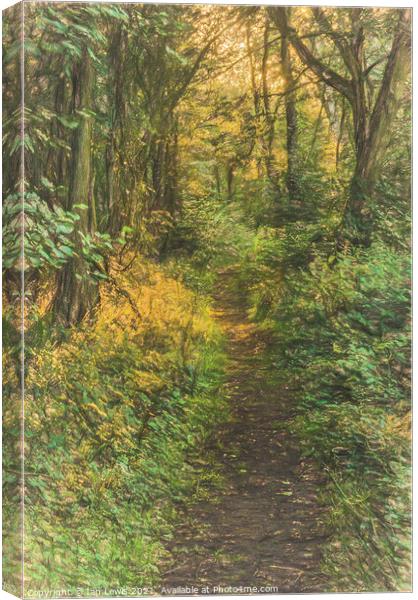 A Woodland Path Canvas Print by Ian Lewis