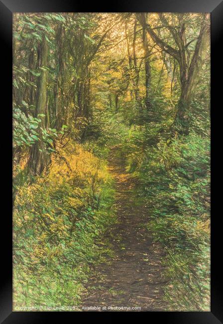 A Woodland Path Framed Print by Ian Lewis