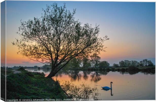 Ely Sunrise over river Great Ouse with swan Canvas Print by Veronica in the Fens