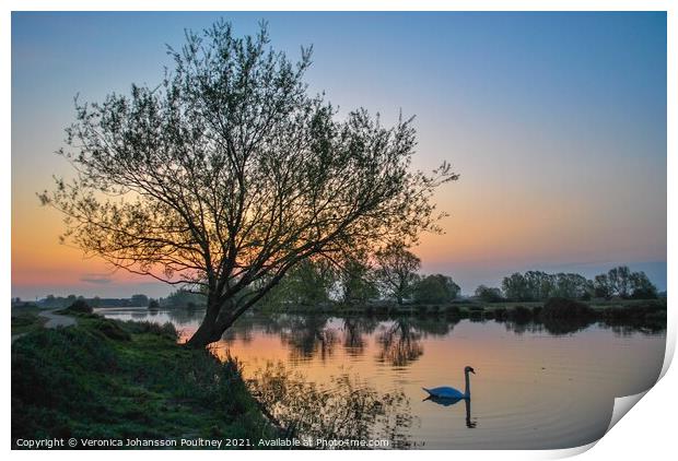 Ely Sunrise over river Great Ouse with swan Print by Veronica in the Fens