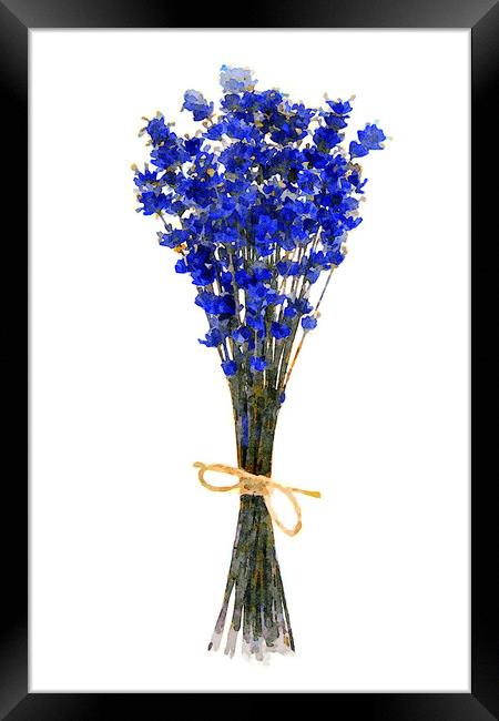 Bouquet of dried lavender Framed Print by Wdnet Studio
