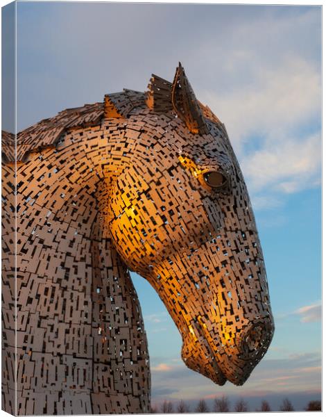 Duke the Kelpie at sunset. Canvas Print by Tommy Dickson