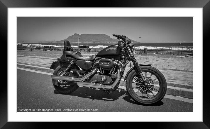 Black Sportster Iron, Cape Town, South Africa Framed Mounted Print by Rika Hodgson