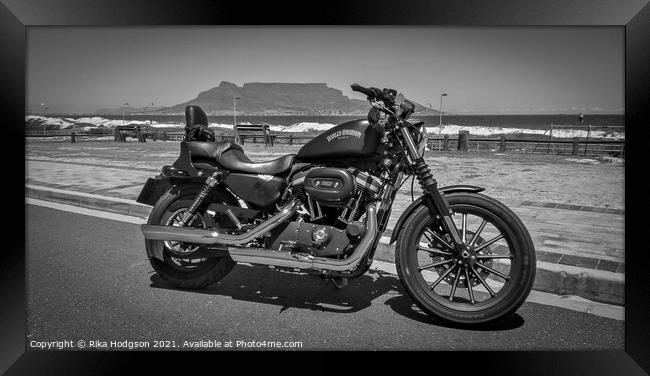 Black Sportster Iron, Cape Town, South Africa Framed Print by Rika Hodgson