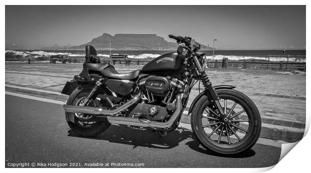 Black Sportster Iron, Cape Town, South Africa Print by Rika Hodgson