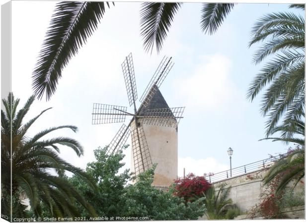 Windmill in Majorca  Canvas Print by Sheila Eames