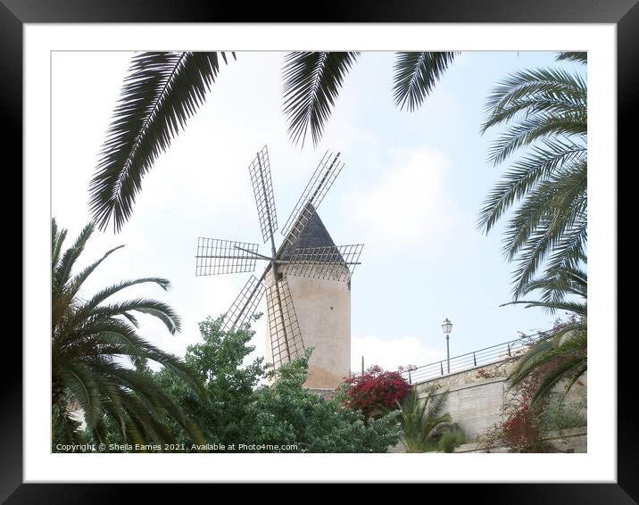 Windmill in Majorca  Framed Mounted Print by Sheila Eames