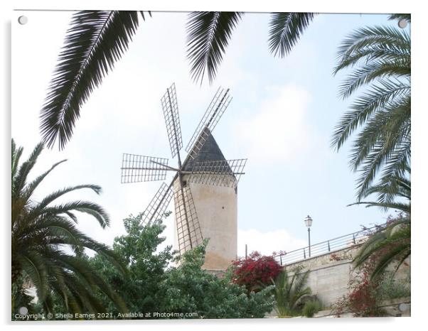 Windmill in Majorca  Acrylic by Sheila Eames